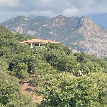 Entre Et Montagne * Ocana